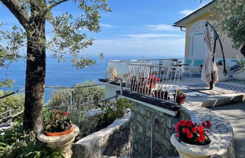 Sea South front property1/2acre.Gardens pool hydro - Foto 9