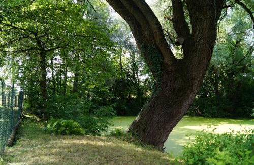 Idylisches Cottage mit Reh - Foto 32