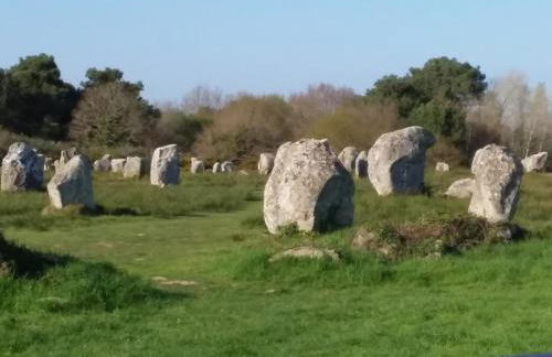 LA ROSE TREMIERE - Foto 12
