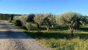 Studio décoré avec goût - Foto 4