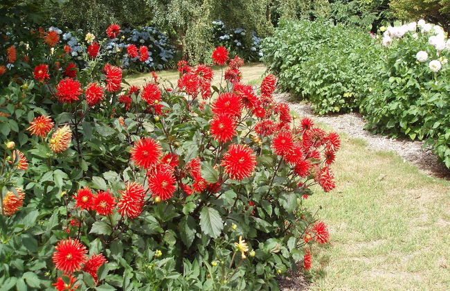 Boat Harbour Garden Cottages - Foto 35