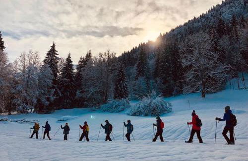 Le Bel appartement de Montagne - Foto 19