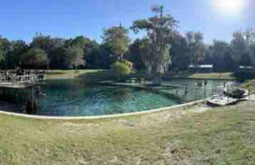 The Botanical Retreat, King Comfort & Poolside Peace - Photo 19