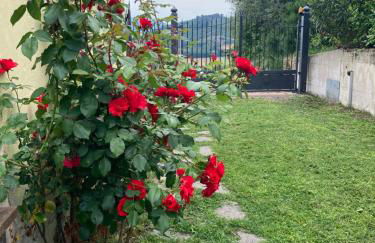 Casa sulla collina - Foto 22