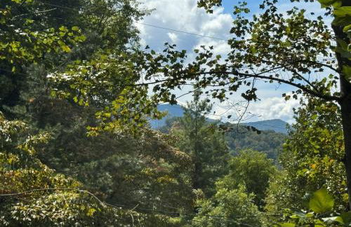 Elk Ridge - cherokee casino GSMNP - Foto 19