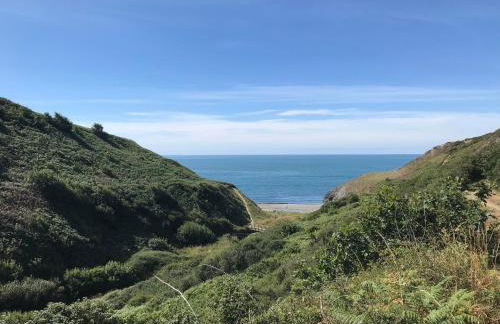 Blaenferwig - Photo 26