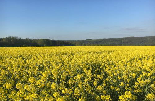 Infinity Two - Foto 28