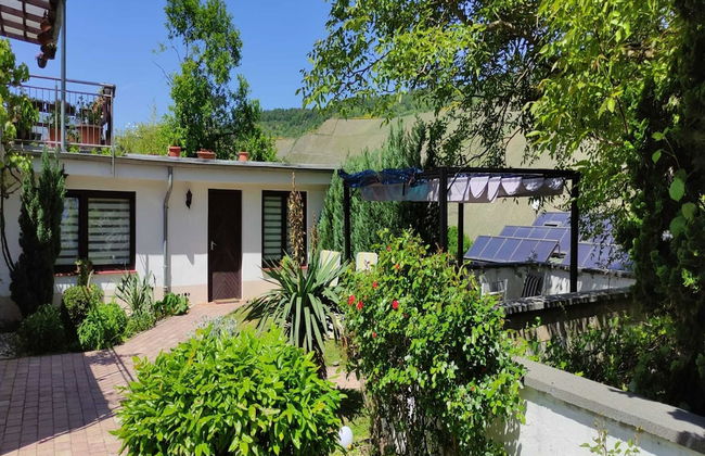 Apartment in Wehlen by Moselle Vineyards - Photo 1