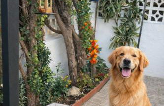 Enjoy the experience and details - Photo 1