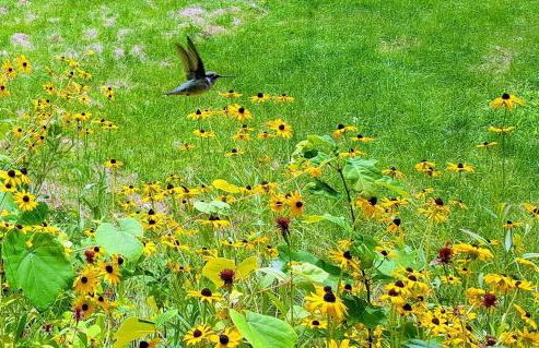 Deer Valley Retreat, Lovely Log Cabin with Fireplace & Garden Views- Perfect for a Relaxing Getaway! - Foto 26