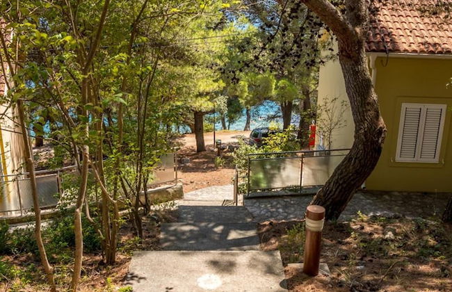 Zelena Punta - Foto 43