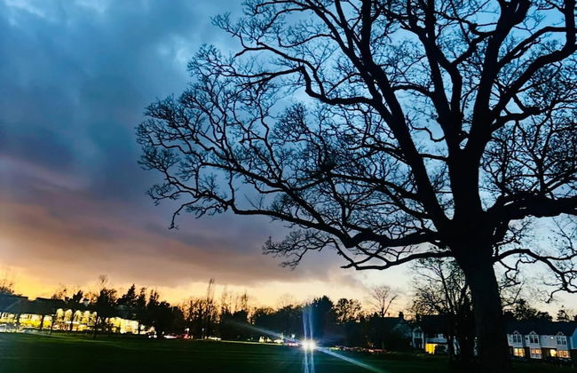 Gerrardscross - Stay4 - Parking - Petsok - Wembley - Foto 25