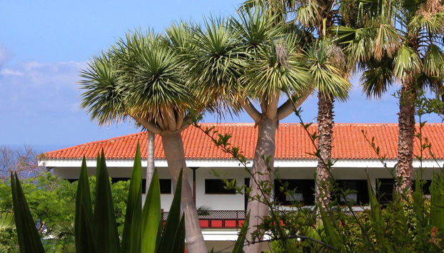 Apartamentos Miranda - Foto 2