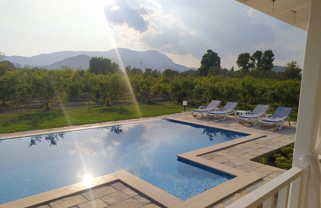Villa in a Pomagranate Orchard - Photo 16