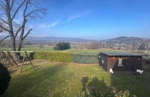 Wolfs-Blick - Foto 3