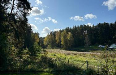 Stodoła Drwęck - Foto 31