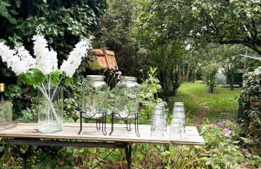 La vie calme - Foto 35