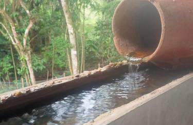 Sitio Lady Laura Biritiba Ussu Mogi - Foto 27