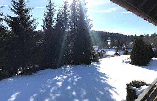 Beautiful apartment & pool Black Forest Häusern 5 people - Foto 22