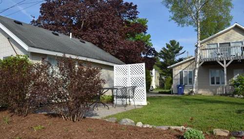 Sweet Cherry "Coral Shutter" - Foto 5