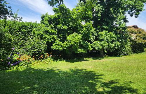 Bellavitalia - a cozy nest in the foothills of the Alps - Foto 36