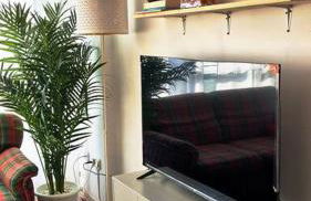 Piso Alegría, tranquilo, luminoso y pensado para ti - Foto 6