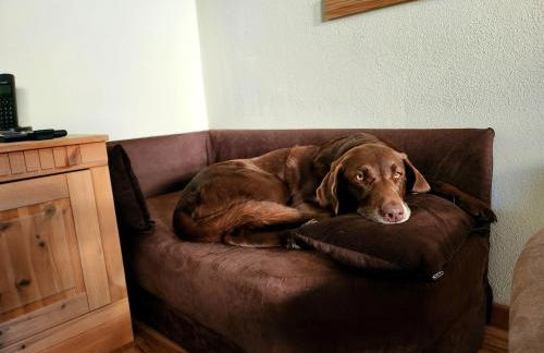 Ferienwohnung Bär - Foto 17