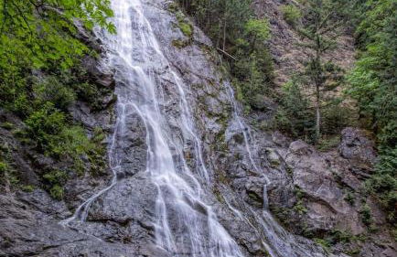Waterfront Hood Canal-Private Beach-Boat-Kayaks - Foto 36