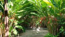 Boipeba Cantinho do Mirko II - Foto 3, Garden