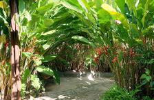 Boipeba Cantinho do Mirko II - Foto 3