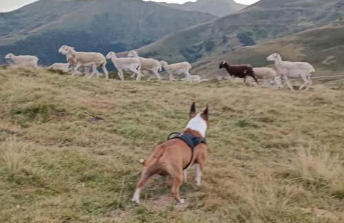 CHALET 4 Le Cerf - Foto 39