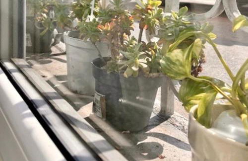 The Small White House In Milan - Foto 25