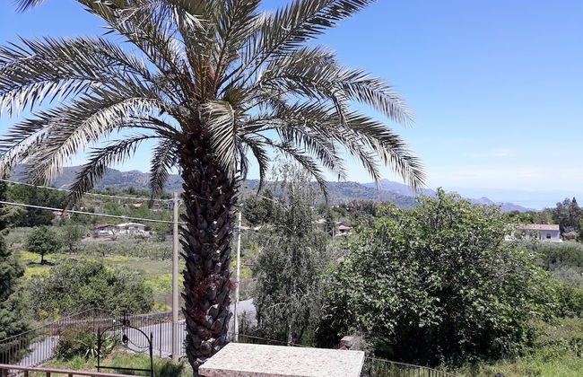 BB Villa Overlooking Sea, Mountain, Coast - Renovated Ancient Winery More - Photo 60