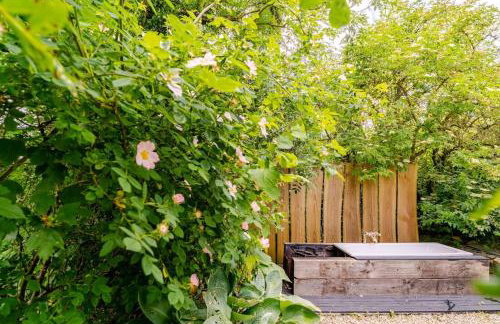 Hut at Nettle and Dock - Foto 12