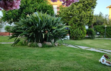 Villa Teresa - Foto 11