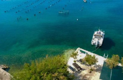 Robinson Dora - Foto 12