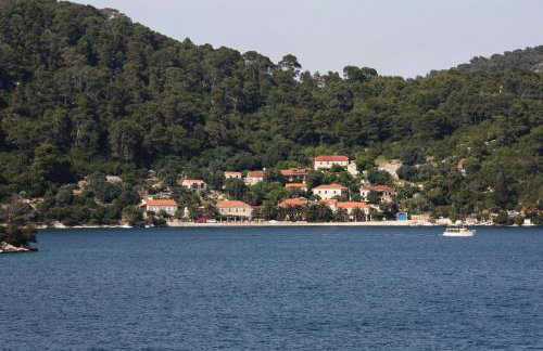 Apartments by the sea Babine Kuce, Mljet - 610 - Photo 18