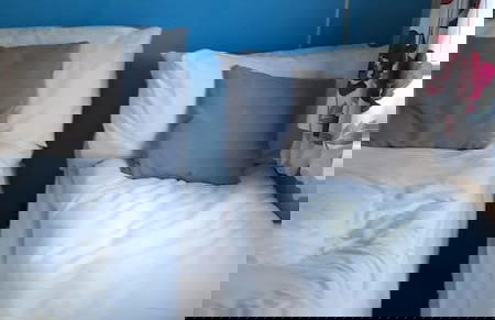 3 bed Caravan Approx 10 Mins From Beach Bill 1 - Foto 5