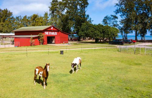Oceanfront Vacation Villas at Turtle Bay - Foto 54