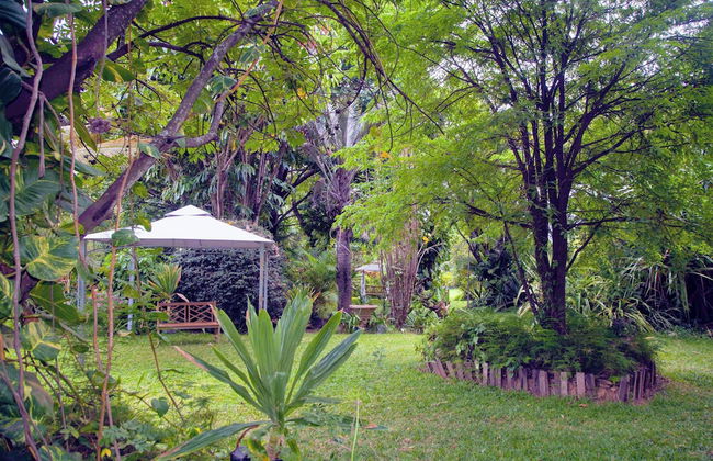 Lush Gardens Apartment 1 - Photo 20