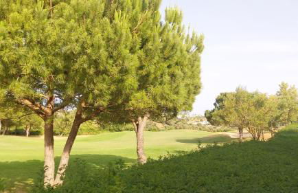 Algarver I - Boavista Golf Fairview SwimPool Villa - Foto 66