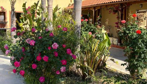 Oasi Le Fontanelle - Foto 4