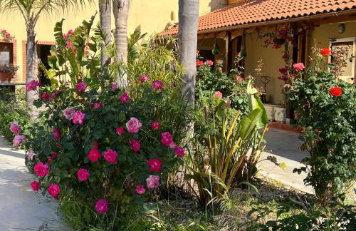 Oasi Le Fontanelle - Foto 4