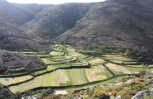 A Avozinha - Arouca - Foto 71