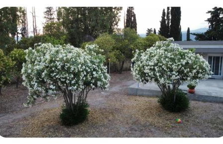 Villa Laguna -house by the beach - Foto 34