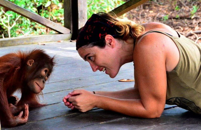 Crucero privado por Borneo con avistamiento de orangutanes en barco superior - Foto 2