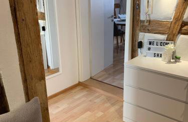 Zentrale Altbauwohnung mit Flair - Foto 6