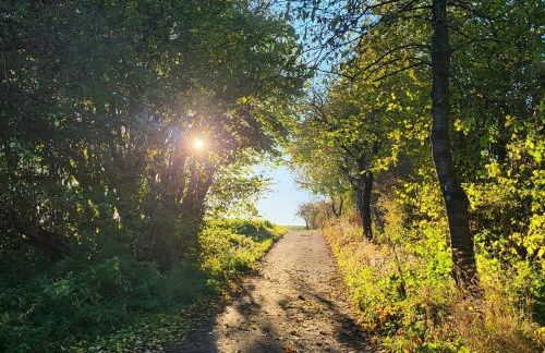 Sonnige Wohnung in Bad Driburg mit Garten - Foto 110