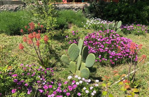 Maison de Charme Classée 3 étoiles - Calme, Jardin, Salle de Sport, Piscine - Foto 28