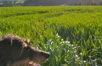 Ferienwohnung Endlich Ferien - Foto 25
